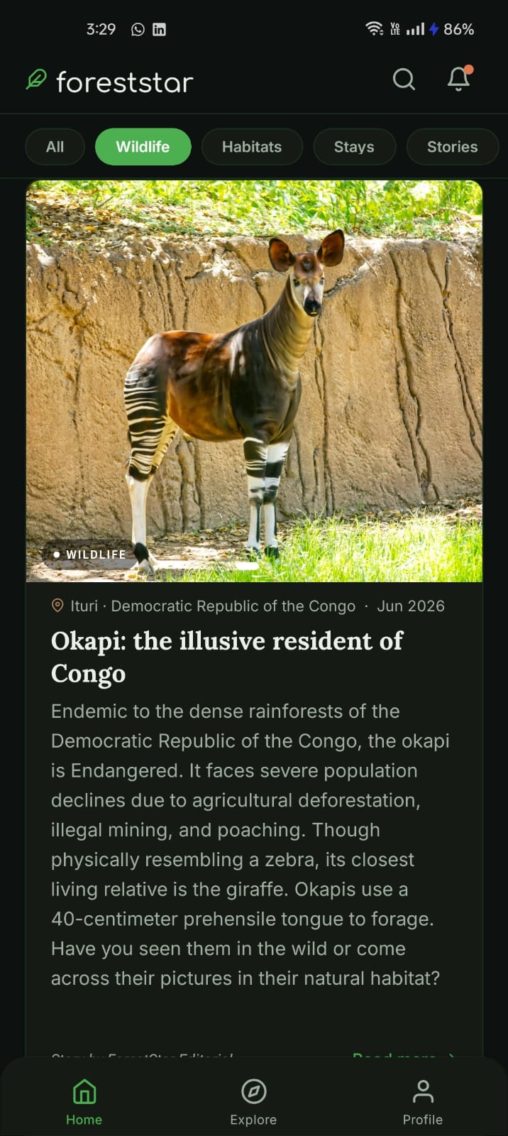 Wildlife category showing Okapi article